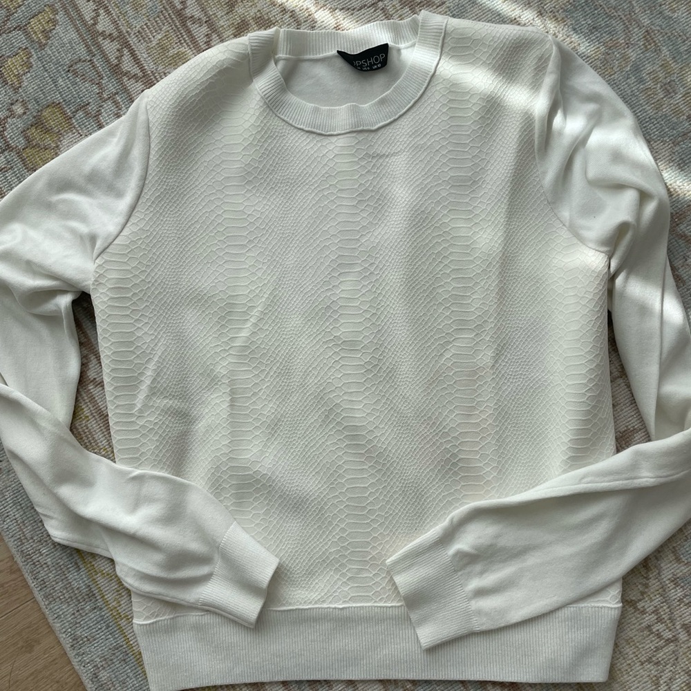 Topshop sweater